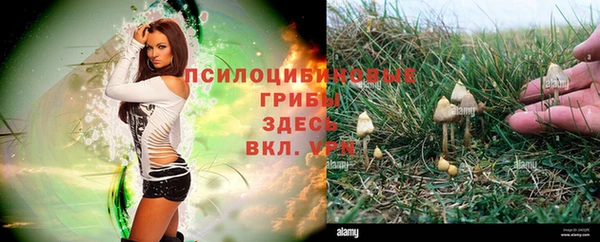 соль ск Майский