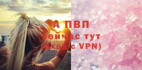 стаф Липки