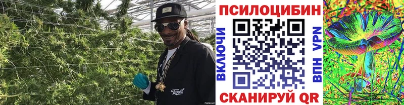 купить наркотики сайты  МЕГА зеркало  Галлюциногенные грибы MAGIC MUSHROOMS  Славгород 
